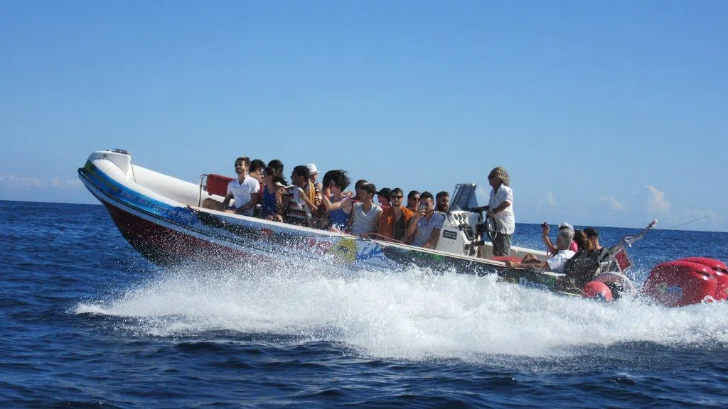 Vier Stunden auf dem Wasser ab St. Julian's