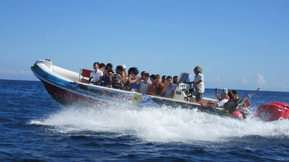 Four Hours on the Water from St Julian's