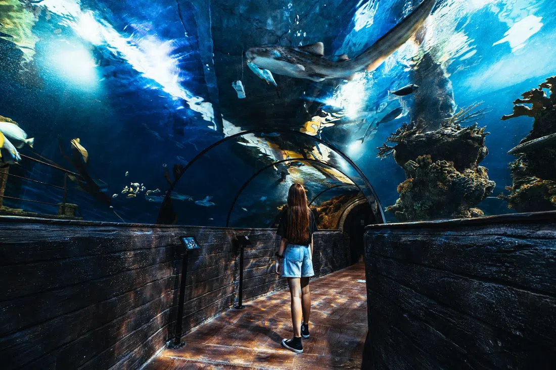 Malta National Aquarium, St Julian's