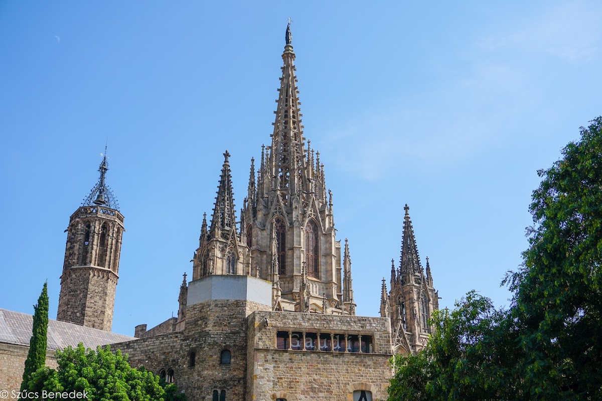 Barcelona Cathedral (La Seu) — photo 2