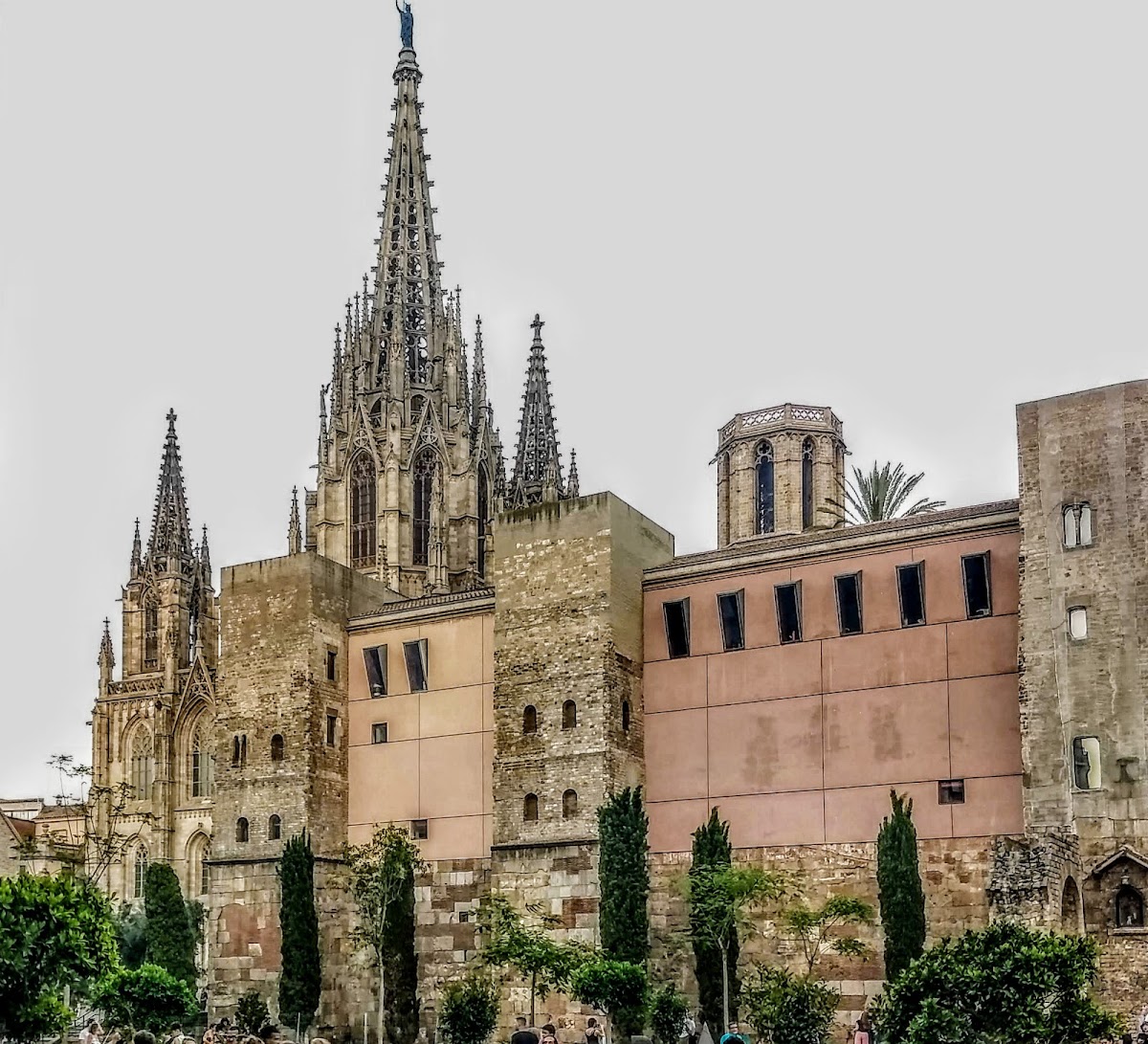 Barcelona Cathedral (La Seu) — photo 3