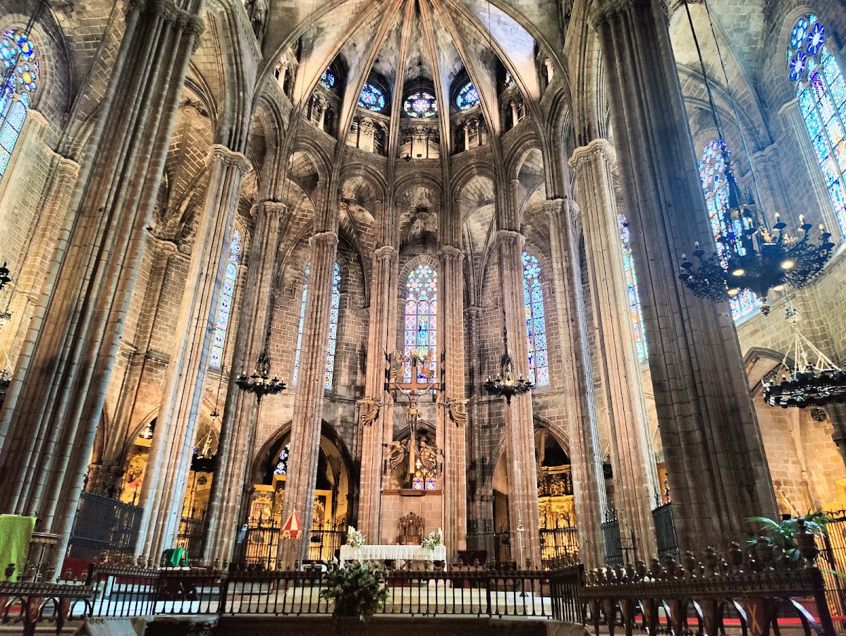 Barcelona Cathedral (La Seu) — photo 5