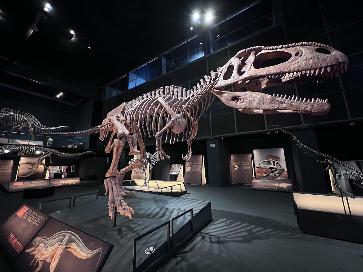 CosmoCaixa — photo 2