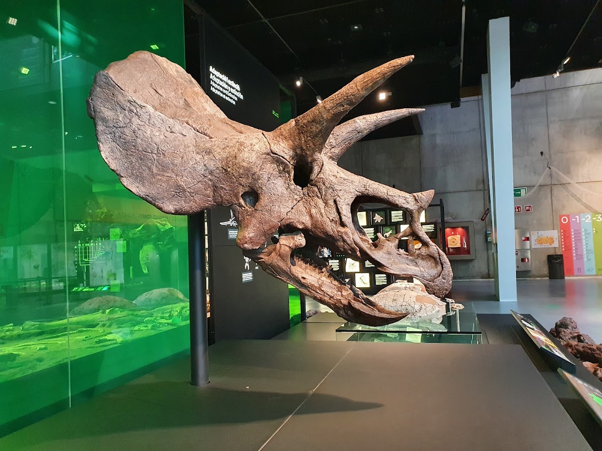 CosmoCaixa — photo 4