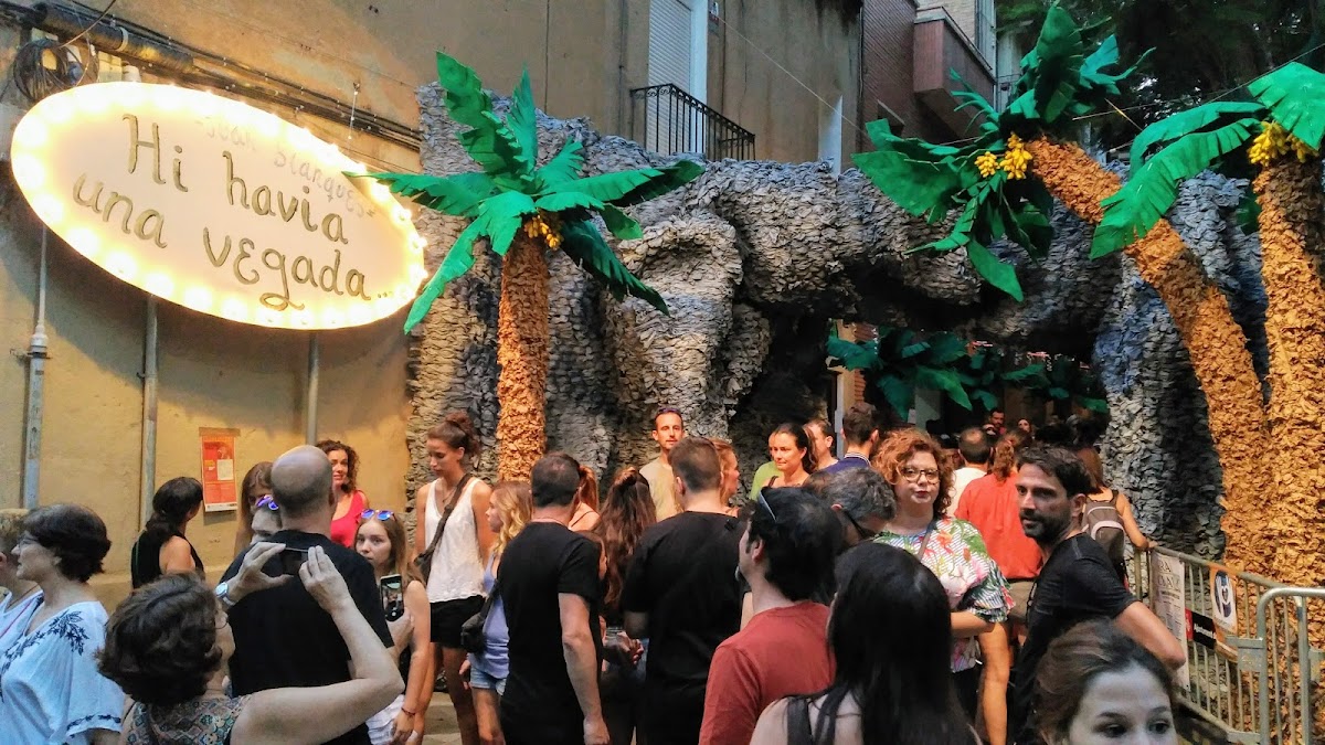Gat Negre — photo 3