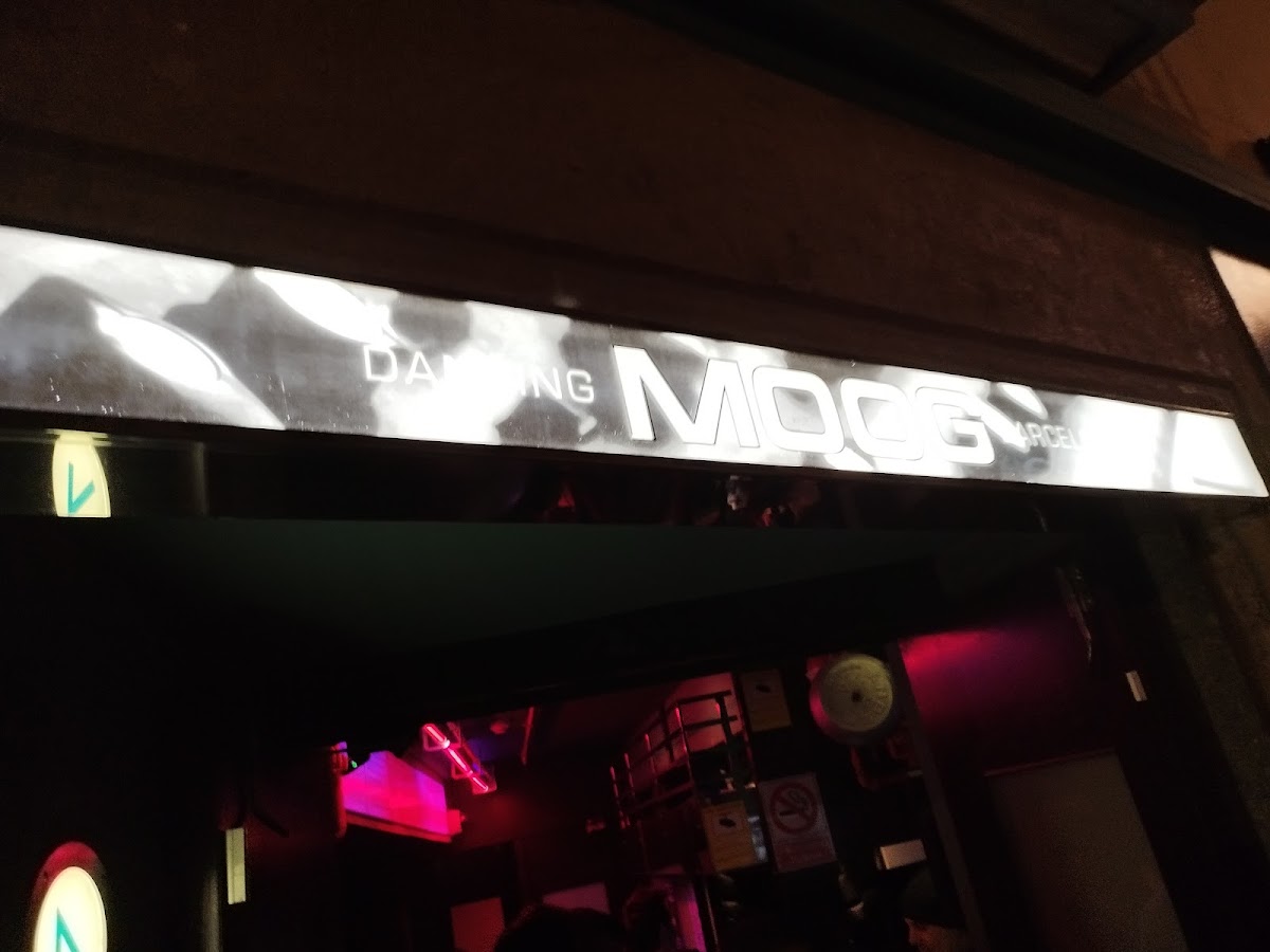 Moog — photo 5