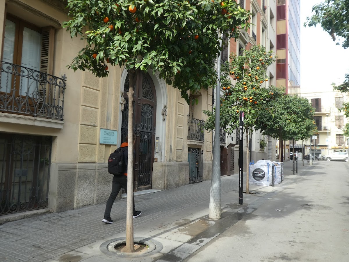 ProjecteSD, Barcelona