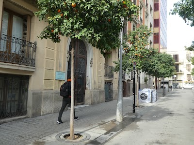 ProjecteSD