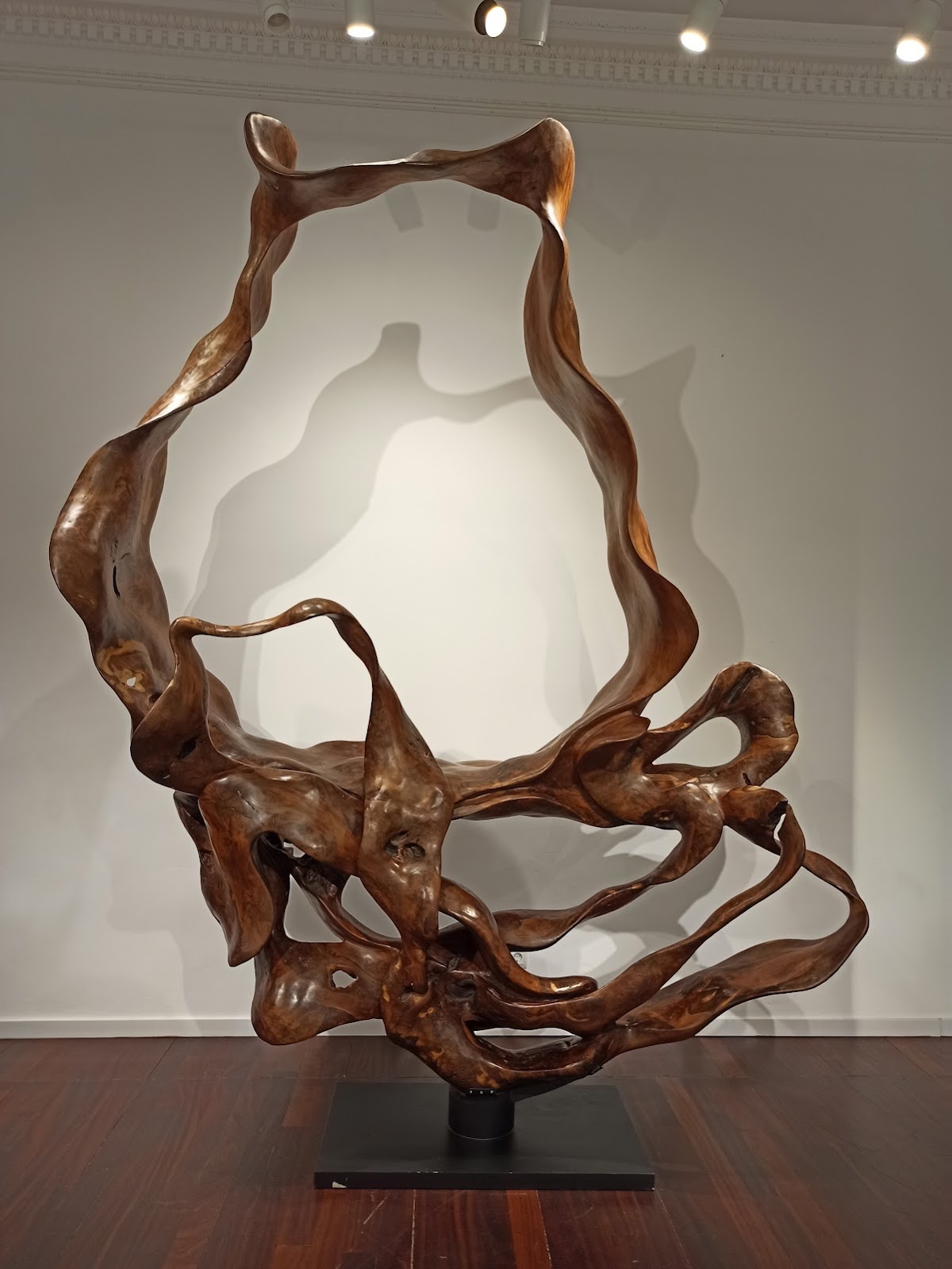 Villa del Arte Galleries — photo 3